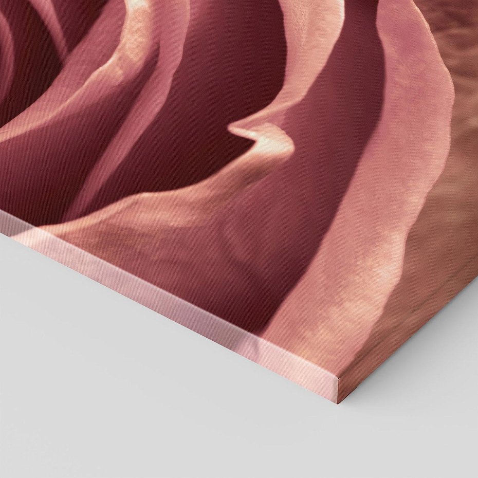 Obraz na płótnie 70x100 - Romantyczna Róż - róża, kwiat