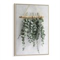 Obraz w ramie 80x120 - Uwodzicielska zieleń eukaliptusa - eukaliptus, zielone - rama drewno
