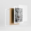 Plakat w ramie 30x40 - Magia Białego Tygrysa - biały, tygrys - rama biała