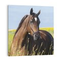 Obraz na płótnie 40x40 - Siła i piękno natury - koń, łąka