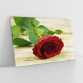 Obraz na płótnie 100x70 - delikatność kwiatu - róża, kwiat