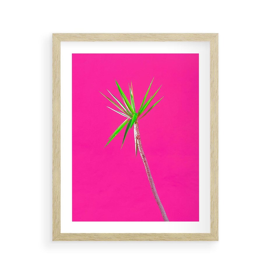 Plakat w ramie 40x50 - Retro Stylizacja - palma, liście - rama drewno
