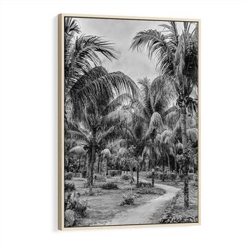 Obraz w ramie 50x70 - Mroczna Ścieżka Tropików - czarno biała fotografia, ścieżka pośród palm - rama drewno