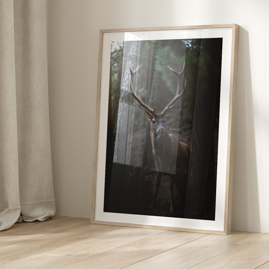 Plakat w ramie 30x40 - Jeleń wśród lasu - jeleń, las - rama drewno