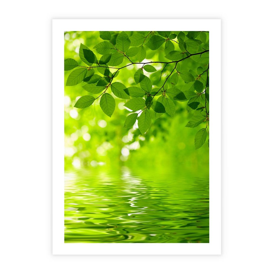 Plakat bez ramy 30x40 - Liście w Wodzie - liście, woda