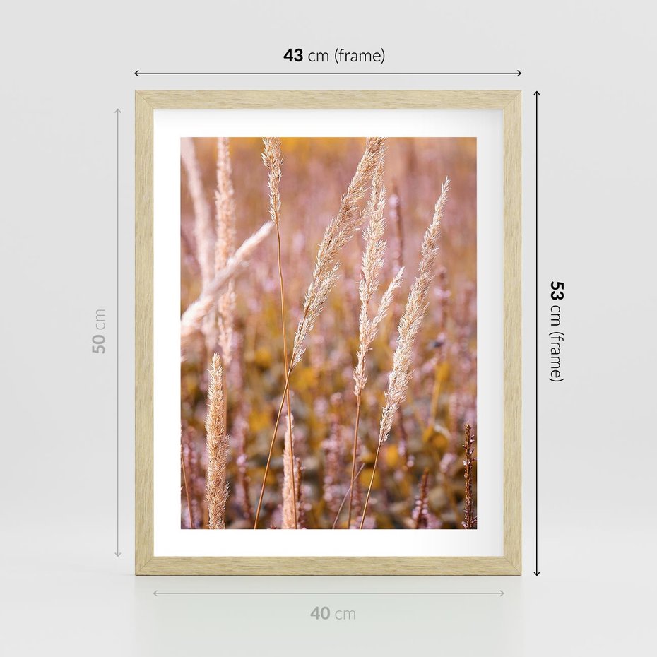 Plakat w ramie 40x50 - Sucha Trawa w Sierpniu - trawy, łąka - rama drewno