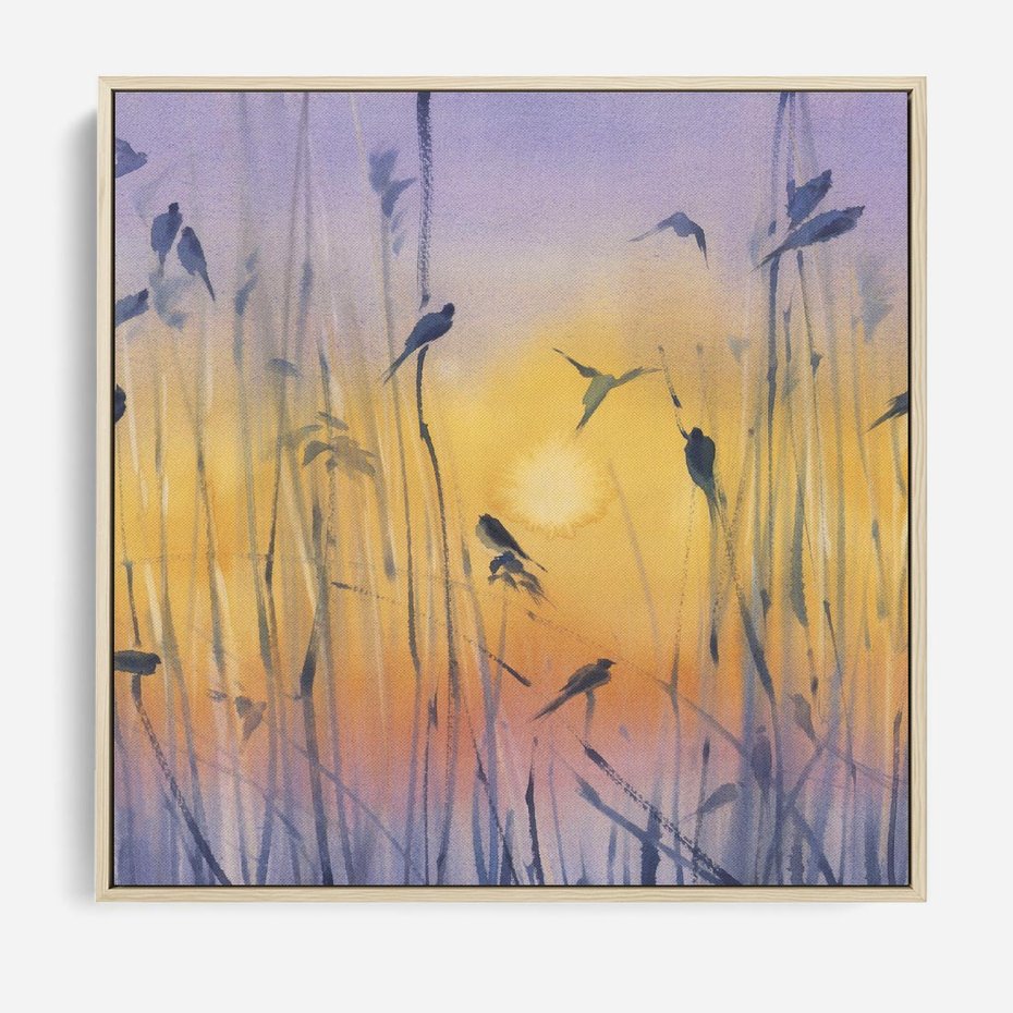 Obraz w ramie 80x80 - Mistyka Poranka nad Szuwaram - wschód słońca w szuwarach, trawy - rama drewno