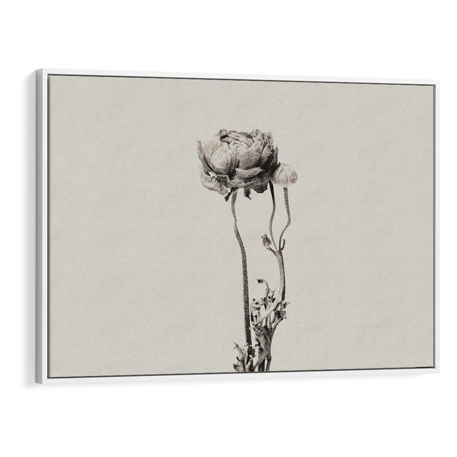 Obraz w ramie 100x70 - Cień Kwiatowej Delikatności - kwiat, cień - rama biała