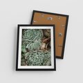 Plakat w ramie 40x50 - Zielona Uroda Sukulentów - sukulenty, zielone liście - rama czarna