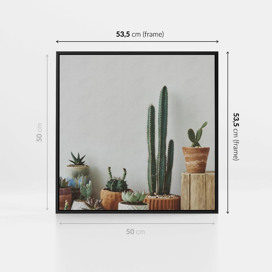 Obraz w ramie 50x50 - Naturalna Harmonia - kaktusy, liście - rama czarna