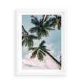 Plakat w ramie 50x70 - Wzrok ku Niebu - palmy na tle nieba, ujęcie z dołu - rama biała