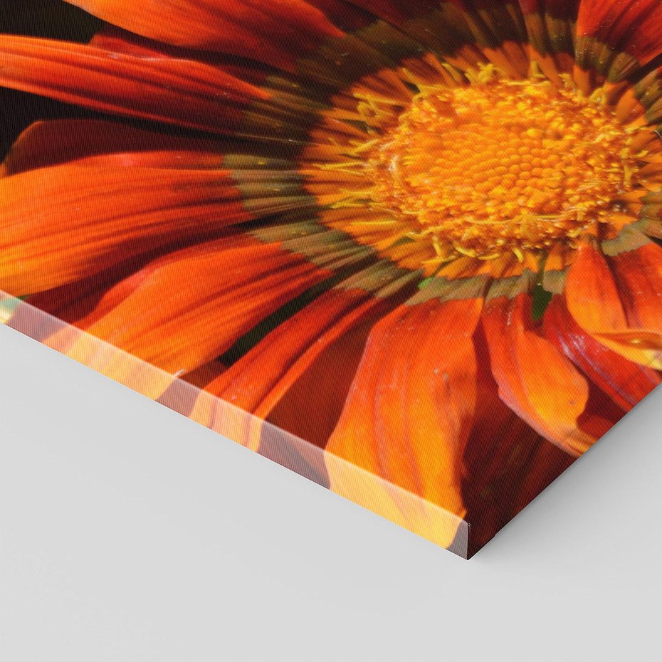 Obraz na płótnie 120x40 - Kwiatowa Esencja - kwiat, kwiaty