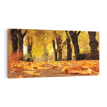 Obraz na płótnie 140x70 - Jesień, Liście, Park - Kolorowa Symfonia - jesień, liście