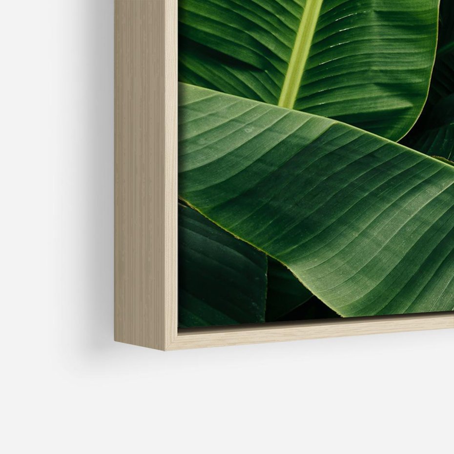 Obraz w ramie 100x70 - Zaklęta roślinna ekspresja - liście bananowca, gęsto ułożone - rama drewno