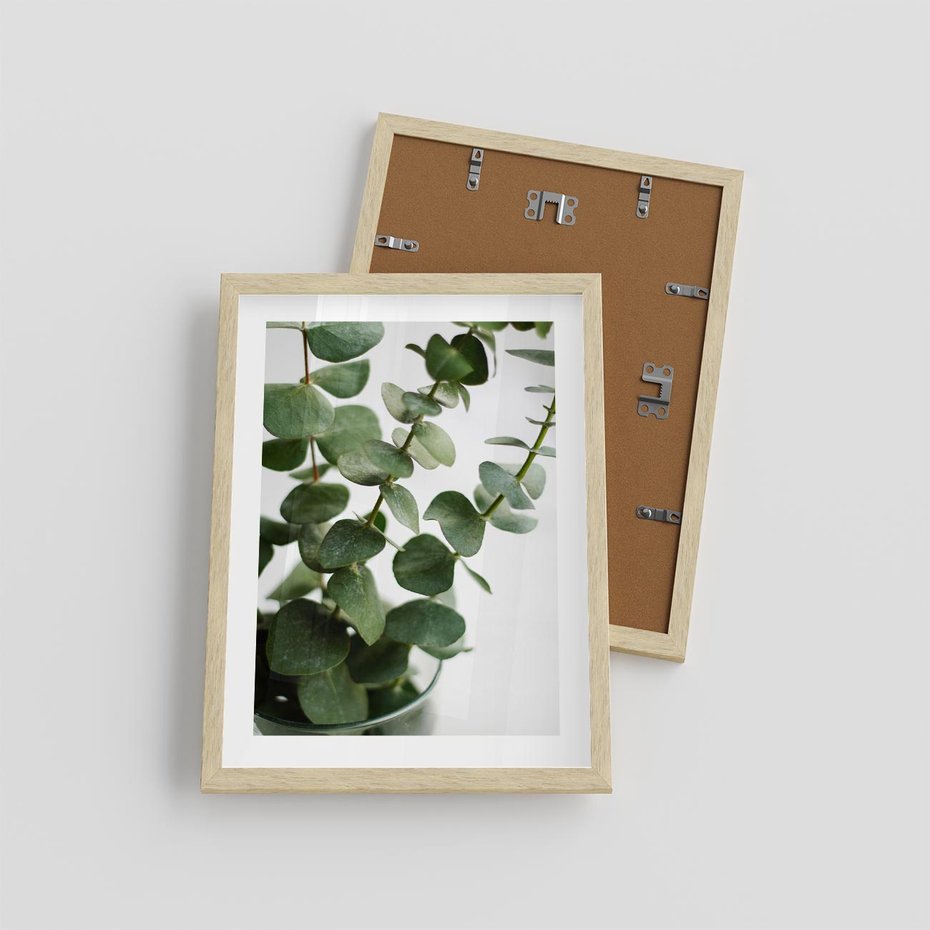 Plakat w ramie 30x40 - Zielone eukaliptusy - eukaliptus, liście - rama drewno