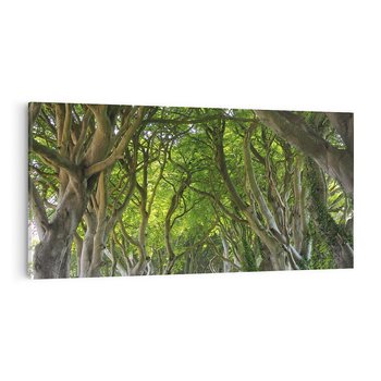 Obraz na płótnie 120x60 - Magiczny Las - drzewa, las