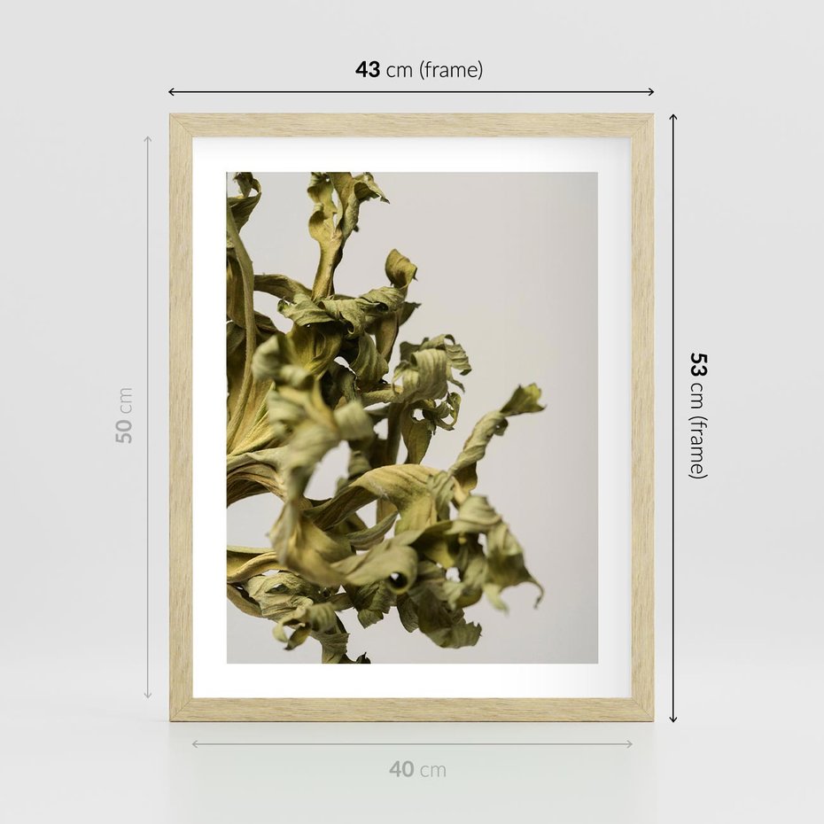 Plakat w ramie 40x50 - Odejście pory deszczowej - suche, trawy - rama drewno