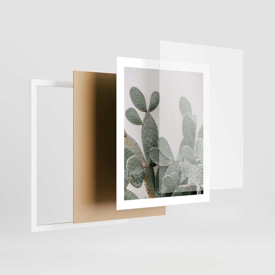 Plakat w ramie 40x50 - Imponujący Kaktus - duży kaktus, opuncja - rama biała