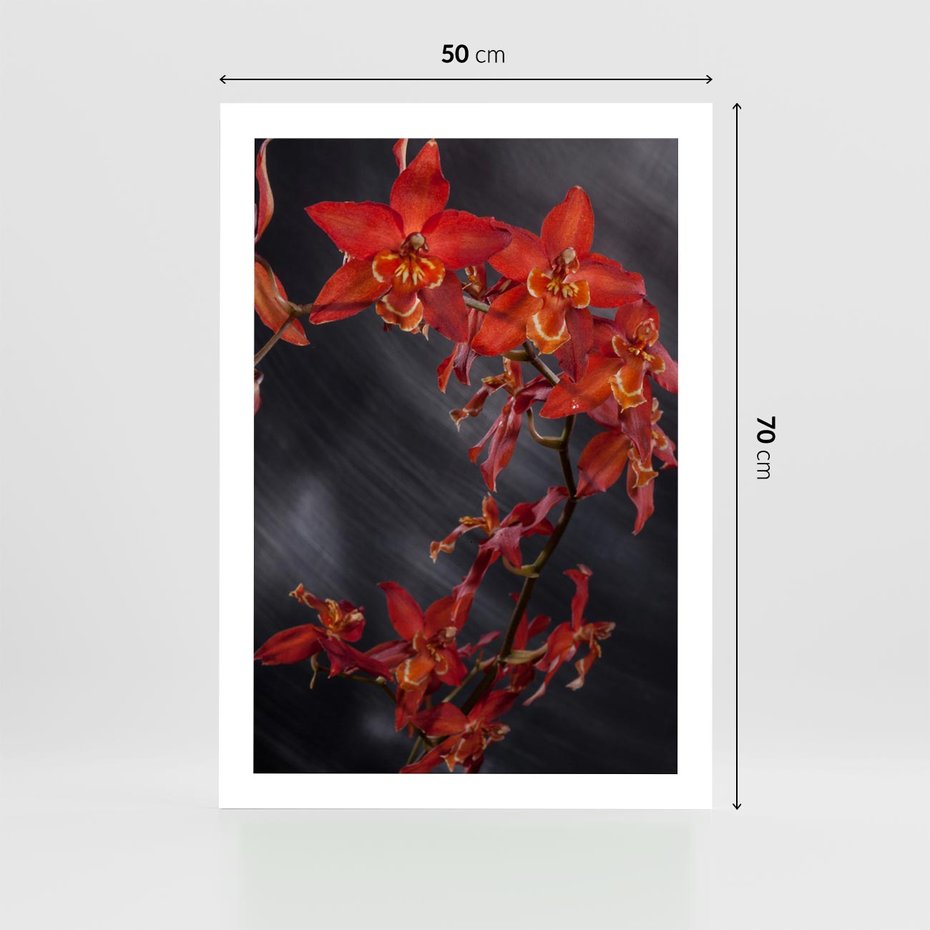 Plakat bez ramy 50x70 - Kolorowy Raj - kwiaty, tropikalne