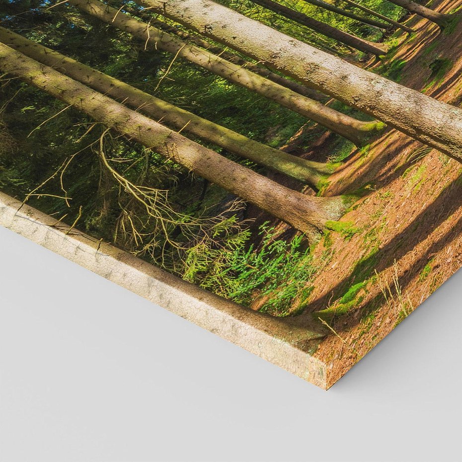 Obraz na płótnie 120x60 - Mistyfikacje lasu - las, drzewa