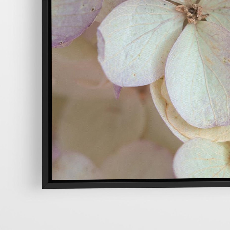 Obraz w ramie 70x50 - Kwiatowy taniec - kwiaty, hortensje - rama czarna