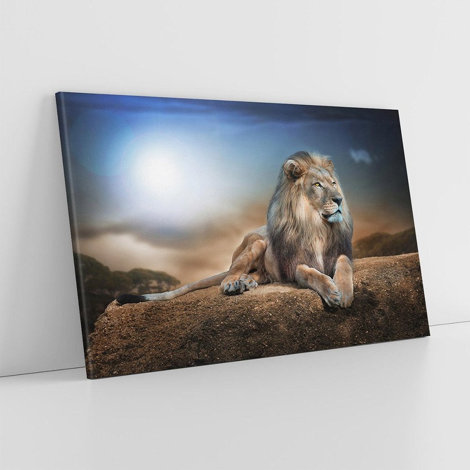 Obraz na płótnie 100x70 - Król sawanny - lew, kamień