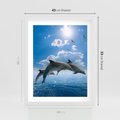 Plakat w ramie 40x50 - Spotkanie z naturą - morze, delfiny - rama biała
