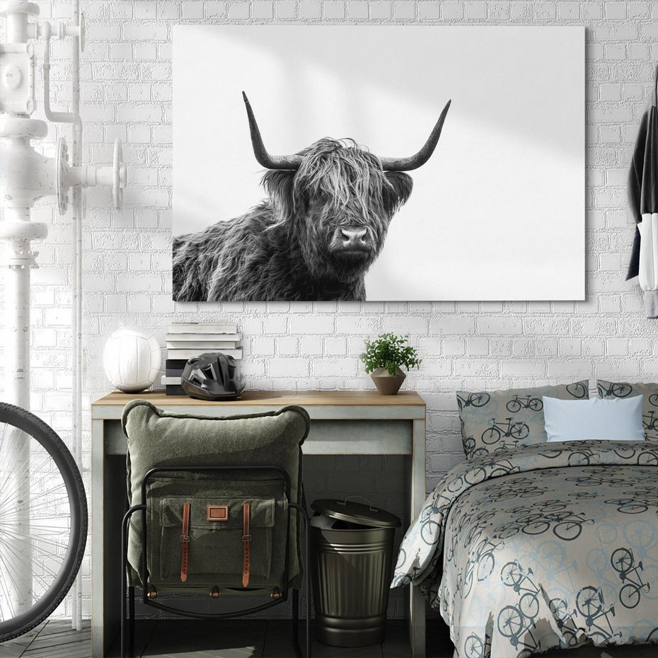 Obraz na płótnie 70x50 - Moc i Spokój - amerykańskie bydło, byk