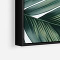 Obraz w ramie 50x70 - Ruchome liście czasu - liście palmy, tropikalne - rama czarna