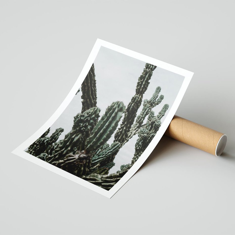 Plakat bez ramy 40x50 - Boho oaza wśród kaktusów - kaktusy, pustynia