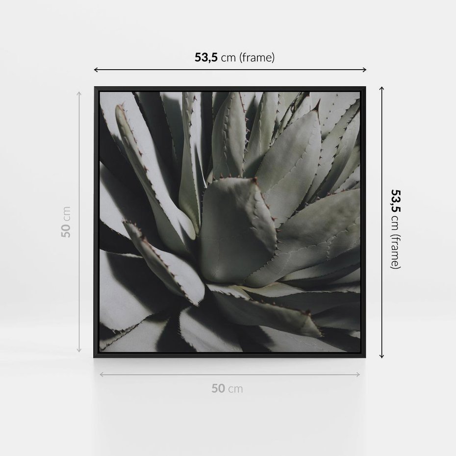 Obraz w ramie 50x50 - Sukulenty wśród kaktusów - sukulenty, kaktusy - rama czarna