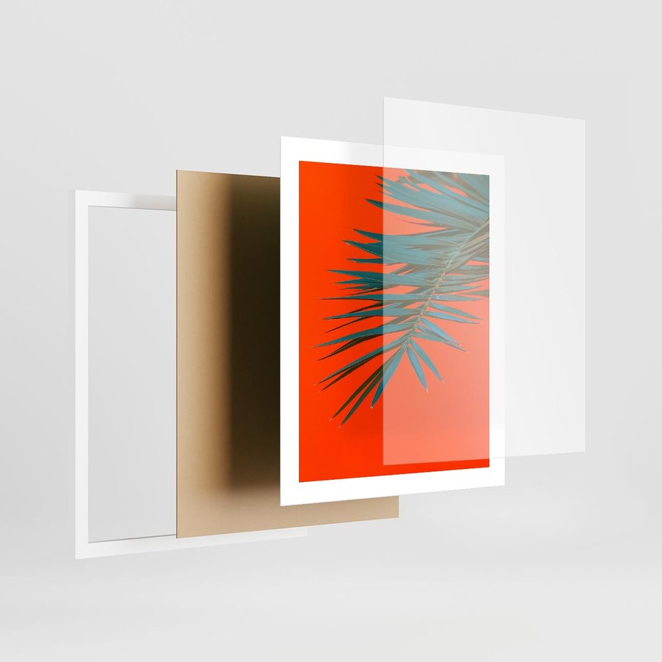 Plakat w ramie 40x50 - Egzotyczny Urok - liście, palma - rama biała