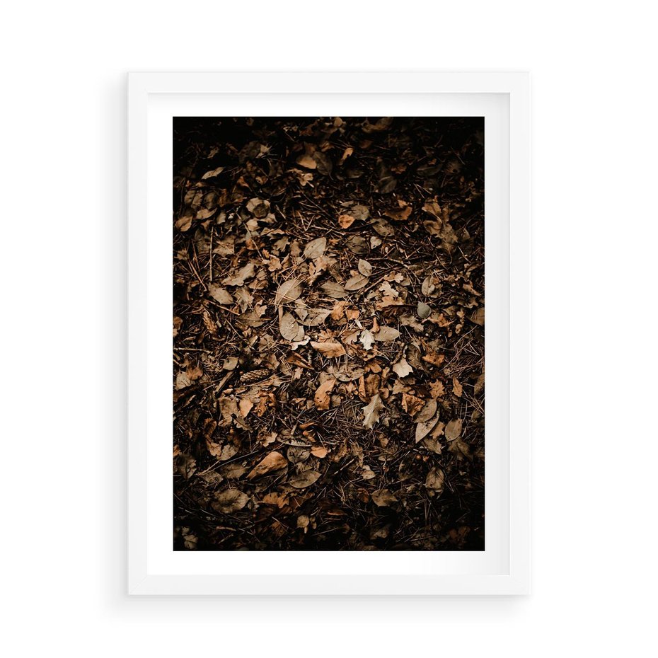 Plakat w ramie 50x70 - Brązowe Liście w Scenerii - suche liście jesień brąz - rama biała