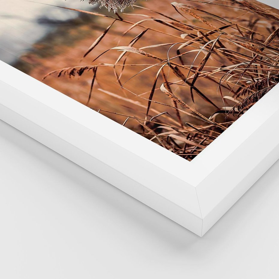 Plakat w ramie 50x70 - Jesienna Melancholia - suche trawy, jesień - rama biała