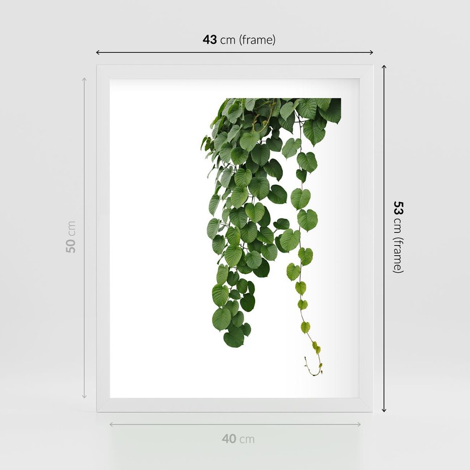 Plakat w ramie 40x50 - Świeżość Natury - liście, zielone - rama biała