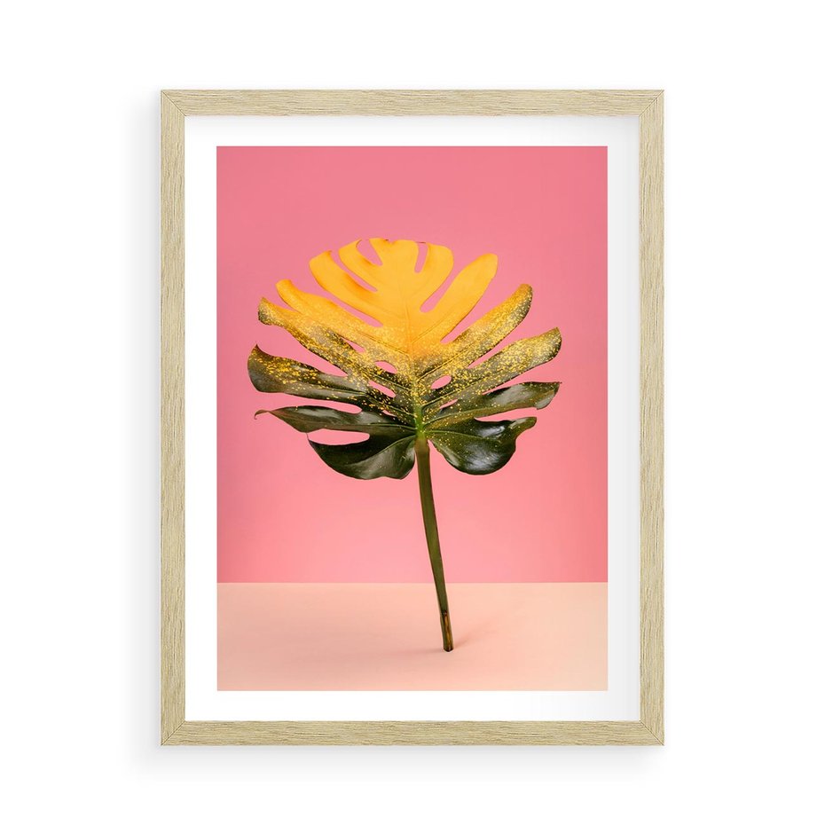 Plakat w ramie 50x70 - Majestatyczna monstera - monstera, liść - rama drewno