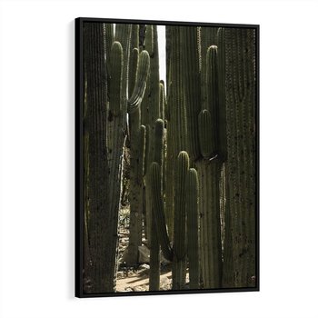 Obraz w ramie 70x100 - Wyjątkowy Klimat Boho - kaktusy, pustynia - rama czarna