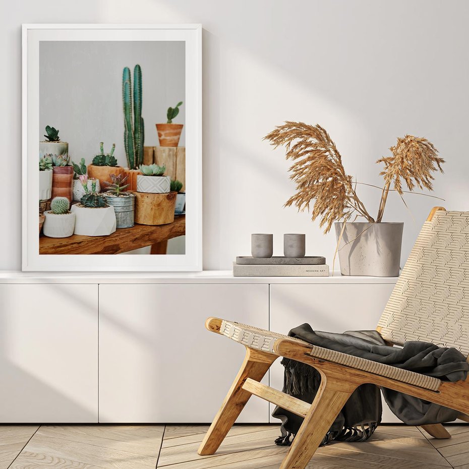 Plakat w ramie 50x70 - Kaktusowa Galeria w Doniczkach - kaktusy w doniczkach, fotografia - rama biała