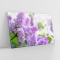 Obraz na płótnie 120x80 - Delikatny liliowy dotyk - lilie, fiolet