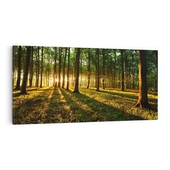 Obraz na płótnie 120x60 - Mistyfikujący urok leśnej głuszy - las, drzewa