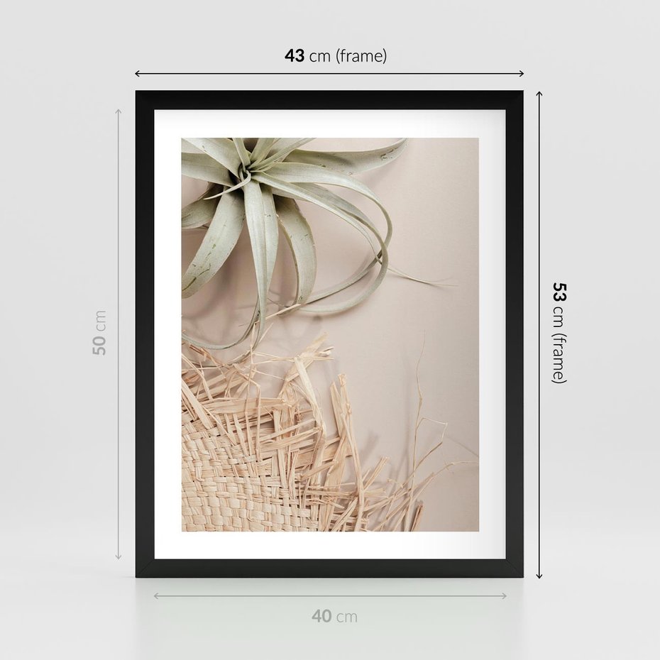 Plakat w ramie 40x50 - Aloes w Stylu Boho - kompozycja, wiklina - rama czarna
