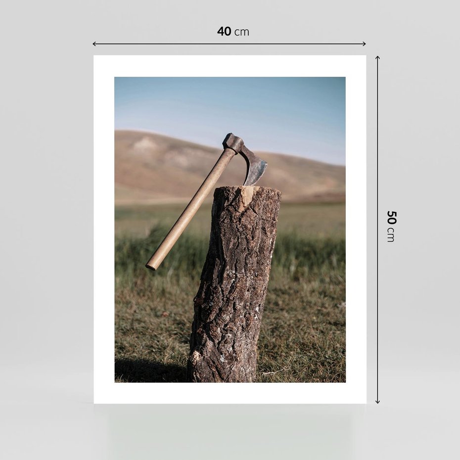 Plakat bez ramy 40x50 - Rustykalna Praktyczność: Fotografia Siekiery - rustykalna fotografia, siekiera wbita w pieniek