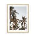 Plakat w ramie 50x70 - Palmy - tęsknota za Hawajami - palmy, Hawaje - rama drewno