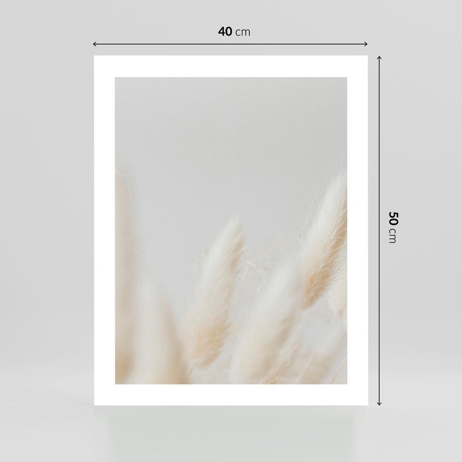 Plakat bez ramy 40x50 - Biały Spokój - białe trawy, suche trawy pampas