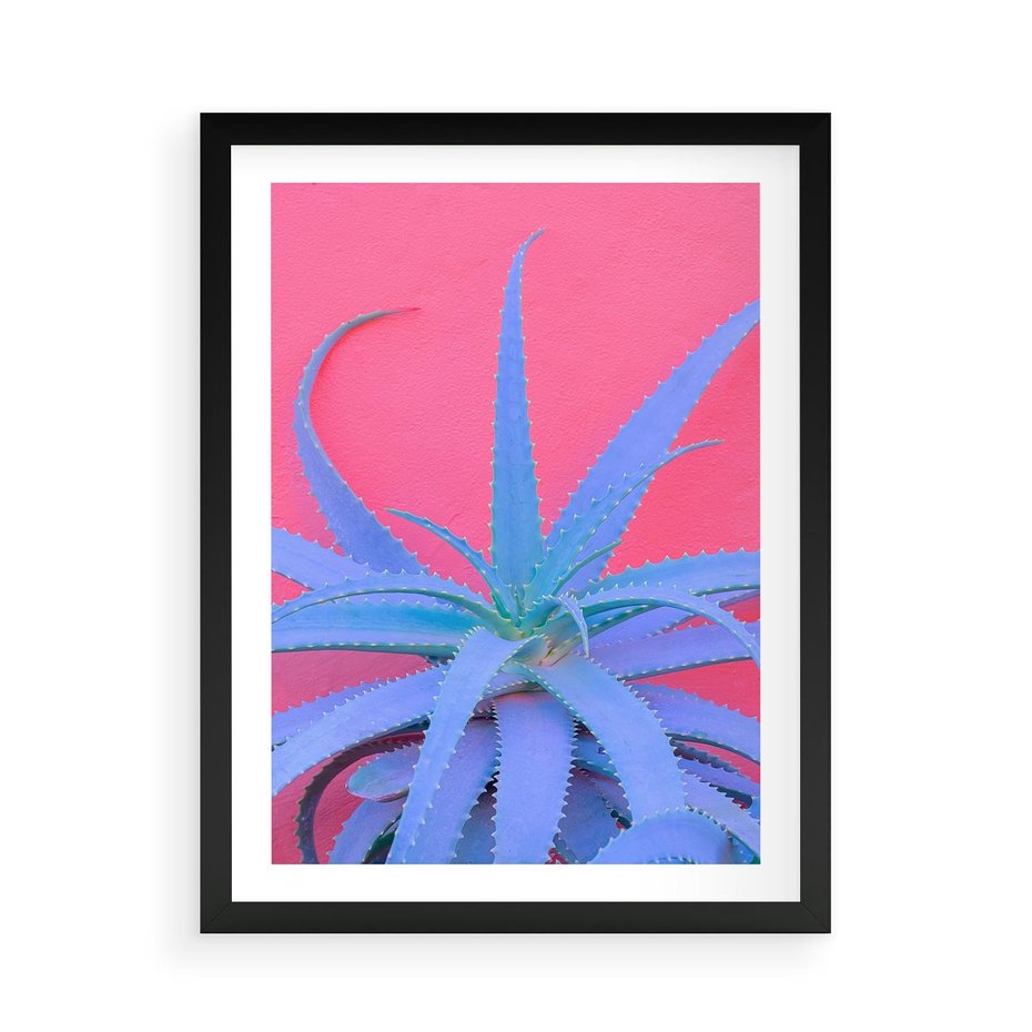 Plakat w ramie 50x70 - Piękno Pustyni - kaktusy, liście - rama czarna