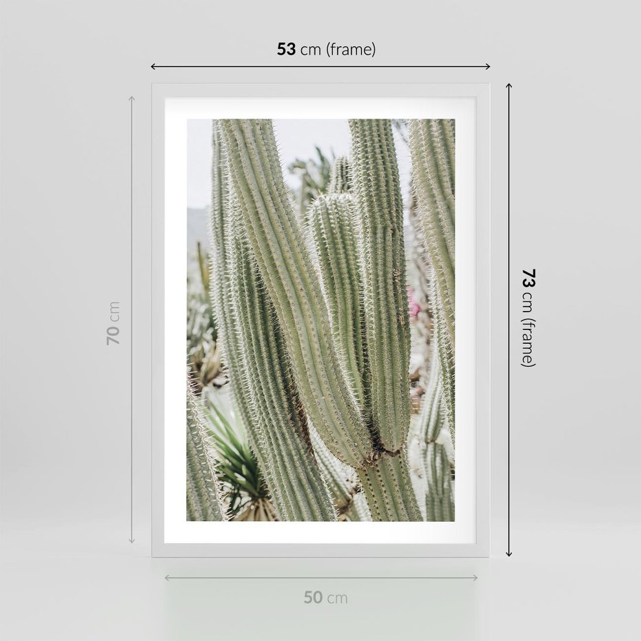 Plakat w ramie 50x70 - Duże Kaktusy w Pejzażu - kaktus, duże kaktusy na pustyni - rama biała