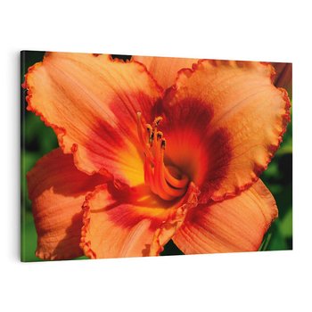 Obraz na płótnie 70x50 - Kwiatowa harmonia natury - kwiat, kwiaty