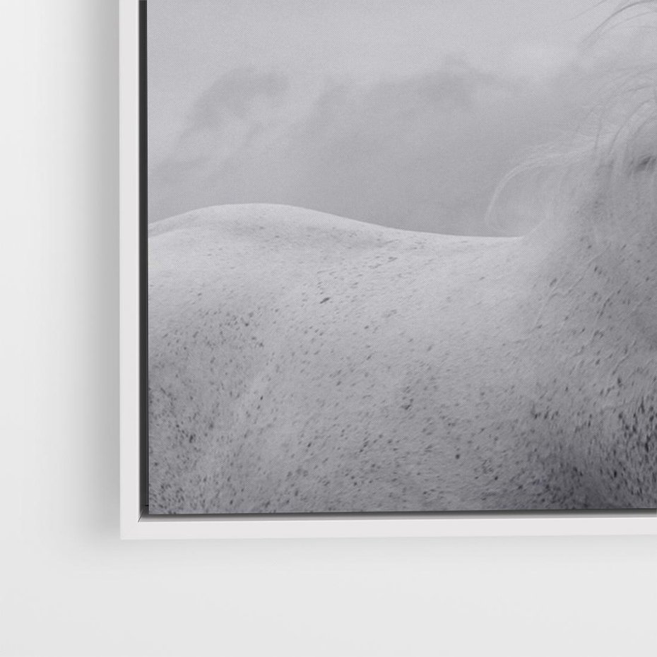 Obraz w ramie 120x80 - Moc i Wolność - czarno biała fotografia, biały - rama biała