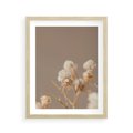 Plakat w ramie 40x50 - Przezroczyste piękno - gipsówka, suche - rama drewno