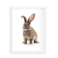 Plakat w ramie 50x70 - Delikatna Zwierzęca Uroda - królik, zwierzę - rama biała
